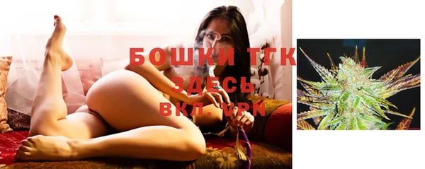 тгк Мегион