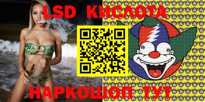 Альфа ПВП Кингисепп
