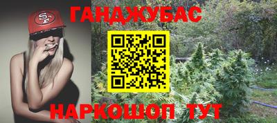 Альфа ПВП Кингисепп