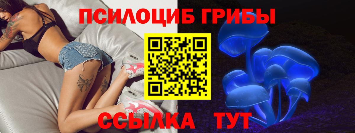 Галлюциногенные грибы мицелий Сунжа